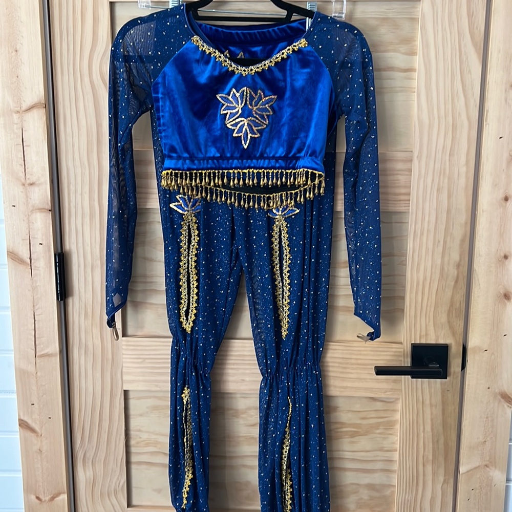 Blue and gold two piece mesh/velvet costume